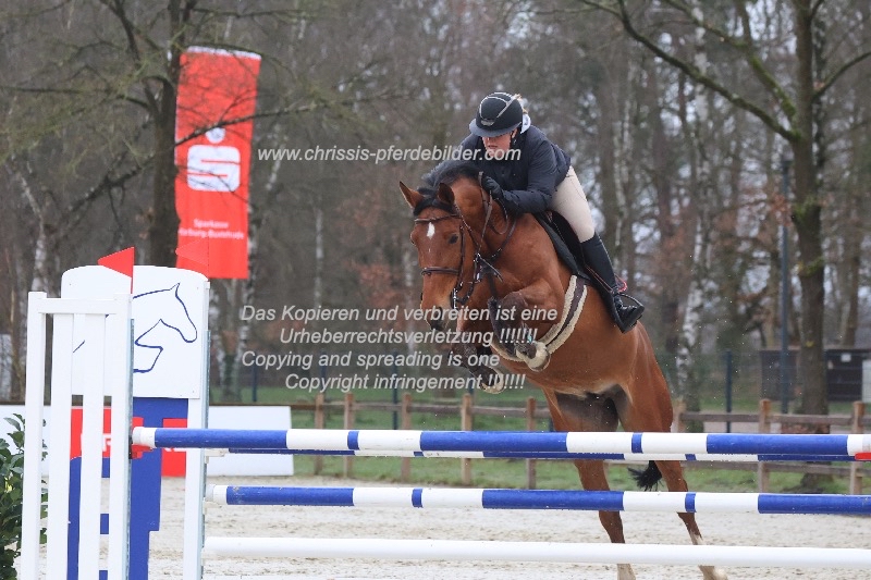 Preview maike bernstorf mit it s lucky lady go IMG_0214.jpg